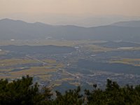 Previous